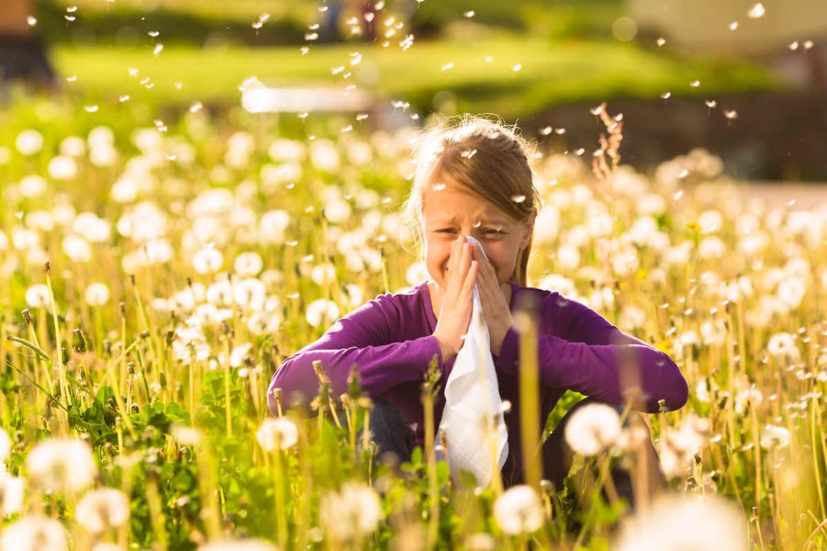 Hooikoorts klachten verminderen met natuurlijke remedies