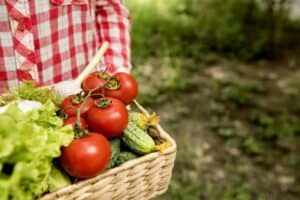 Groenten en fruit eten helpt tijdens deze levensfase