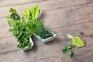 Prevent vitamin K deficiency with nutrition