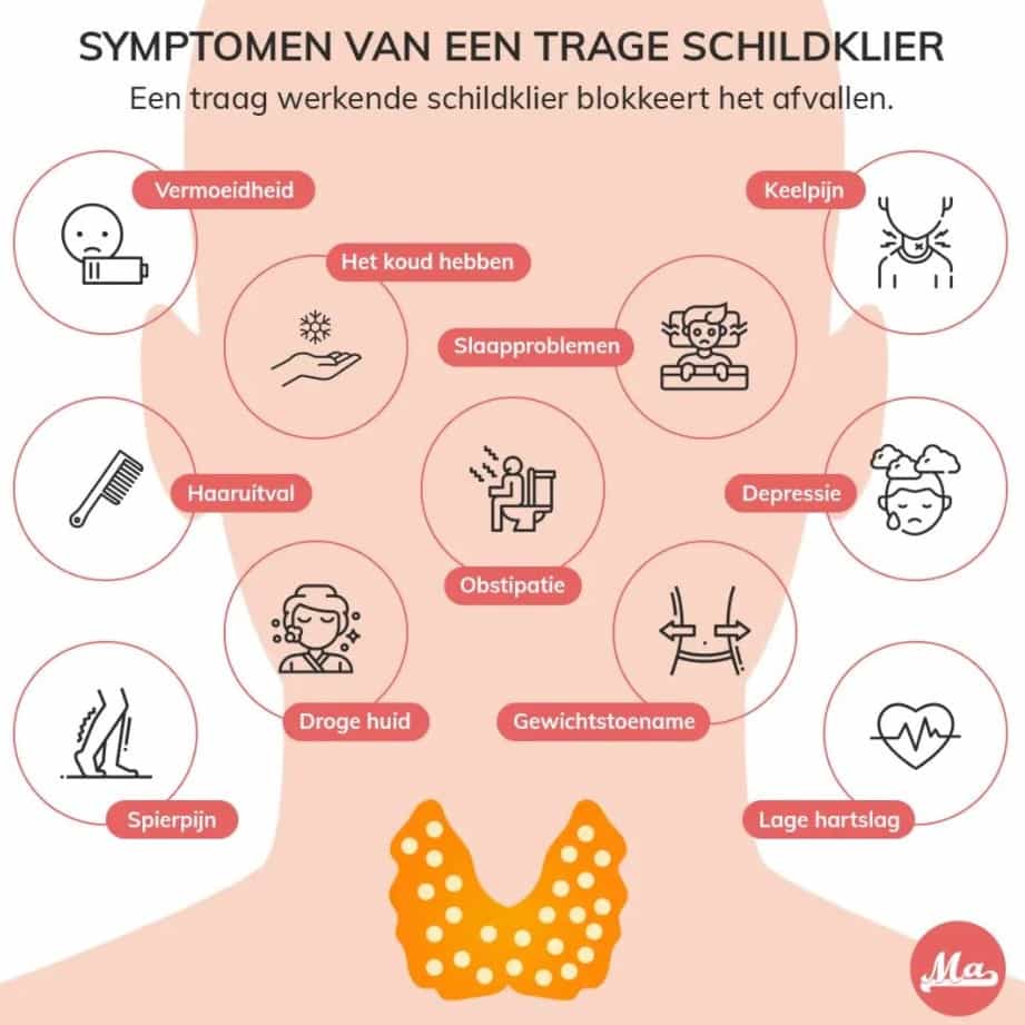 Symptomen traag werkende schildklier