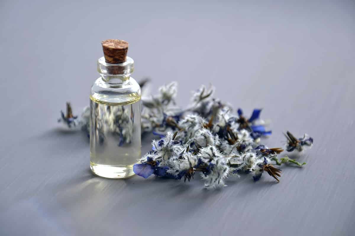 lavendel olie