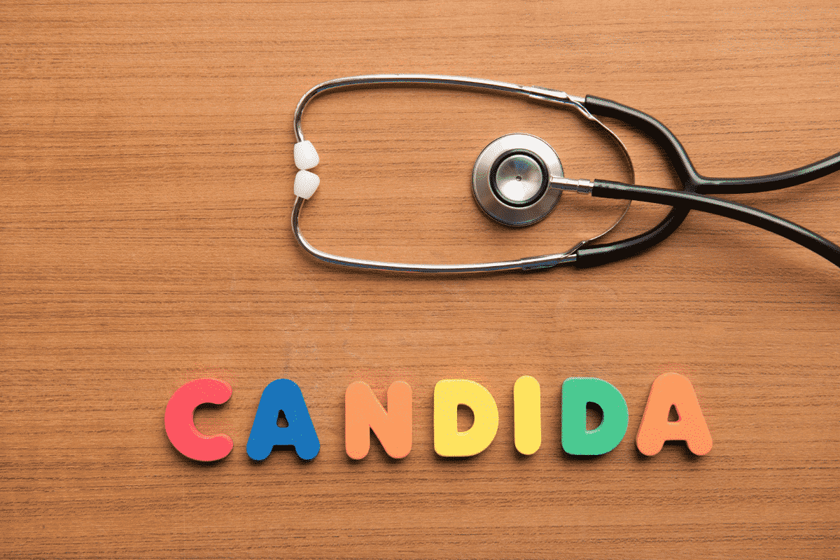 Candida dieet