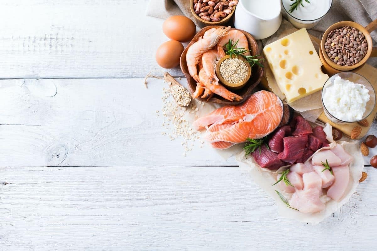 voeding met veel eiwitten
