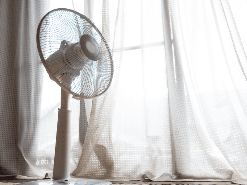 een ventilator kan helpen bij de hitte