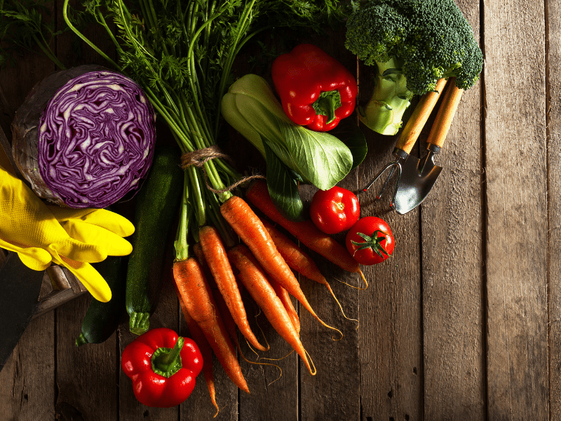 Wat is de beste vitamine voor vrouwen combinatie? groenten en fruit bevatten ook voldoende vitamines