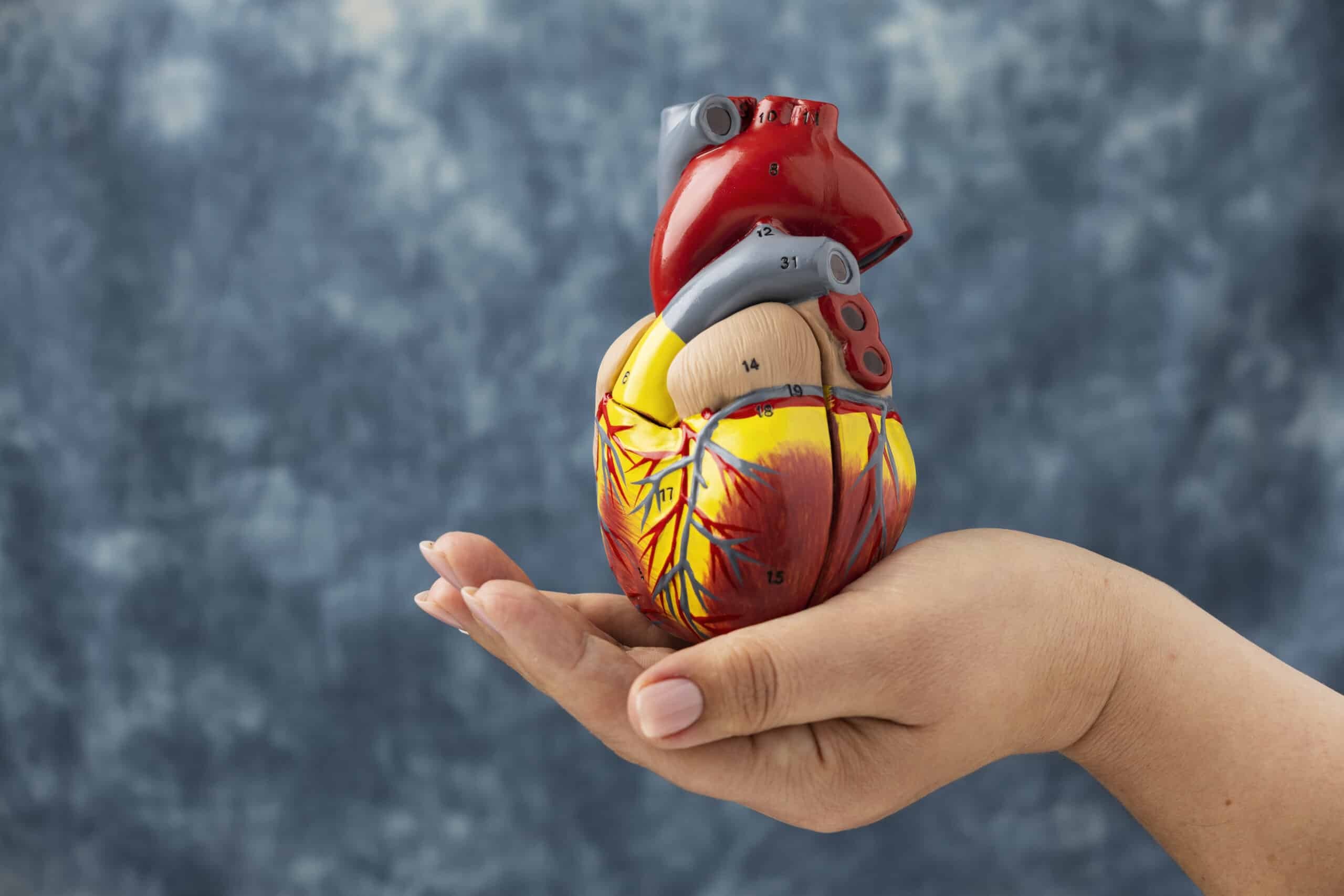 hart en bloedvaten supplementen kopen scaled